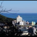 고운청사포