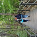 지안이의 주말 지낸 이야기 이미지