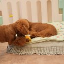 정성호텔 이미지