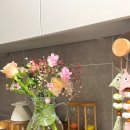 오아시스_정기배송 | 꽃배송 온라인꽃배송 랜덤꽃 아몽쿠 만원꽃다발 정기배송 후기 🌸
