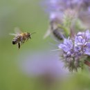 정제한의원 이미지