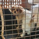 남원중앙초등학교 이미지