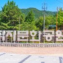 사명대사공원 잔디광장 이미지