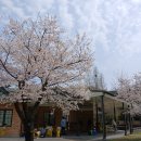 부천자연생태공원 이미지