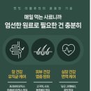 캣잇 더블퓨전 시니어 사료 급여후기