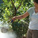 신비공원 이미지