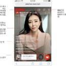 라이브펫 이미지