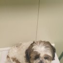 용호3치안센터 이미지