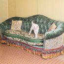 광주현대농장 이미지