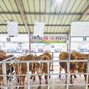 서귀포시축협 이미지