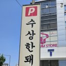 수상한돼지 티스토리