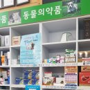 대학정문약국 이미지
