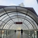 라운지26호텔 | 서울드래곤시티 | THE 26 브런치 방문 후기 (the lounge 더라운지 호텔 브런치 이용권)