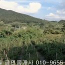 하발리