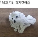 포피스 피자 이미지