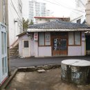 주식회사담쟁이 이미지