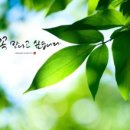 내 손으로 쓰는 재미 캘리그라피 이미지