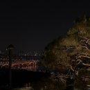 응봉산팔각정 이미지