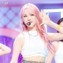 지헌 Daum카페