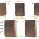 디지털드로잉 (기초) 이미지