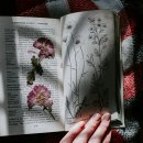 석적읍사무소 이미지