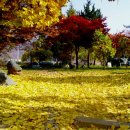 길안초등학교 이미지