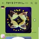 지혜의 소나기 이미지