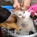 약암홍염천 목욕탕 이미지