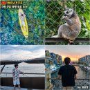 비비큐(BBQ)신지산스마트점 | 베트남 푸꾸옥 가족 여행 코스 3박5일 루트 추천 준비물