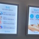 풋43 하단점