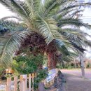 물댄동산 통나무펜션 이미지