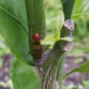 대성농원 이미지