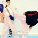 경향태권도 이미지