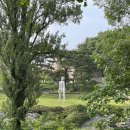 국립현대미술관 과천 후기 : 셔틀버스, 식당, 전시 후기