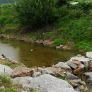 산촌버섯마을 이미지