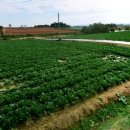 부동리마을회관 이미지