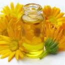 메리골드 이미지