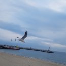 한일공인 행정사사무소 이미지