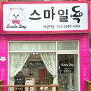 스마일독 | 계양구 강아지 애견미용 가격 저렴한 &#39;스마일독&#39; 내돈내산 후기(+소요시간)