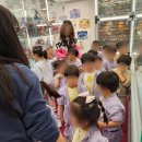 구립양지어린이집 - 관악구 | 구립양지어린이집