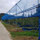 중근농장 이미지