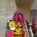 사구상사