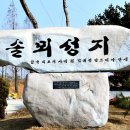 솔뫼성지 소나무 이미지