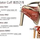 계족로140번길 이미지