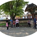 진주-중앙-비상-05 | 밀양 위양지/영남루/호박소/표충사/트윈터널 탐방(2025-05-14)