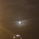 송정석유 티스토리