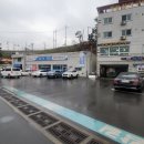 구조라위판장 | 거제수협 성포위판장 경매현장 후기