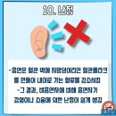 너담 이미지