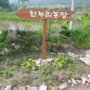영농조합법인한누리 이미지