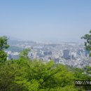 남산 쉼터 티스토리